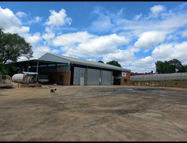 FARM FOR SALE IN TZANEEN RURAL